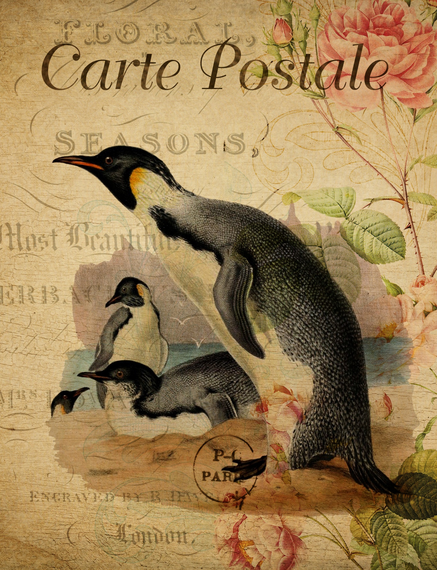 Penguin Vintage Art Postcard