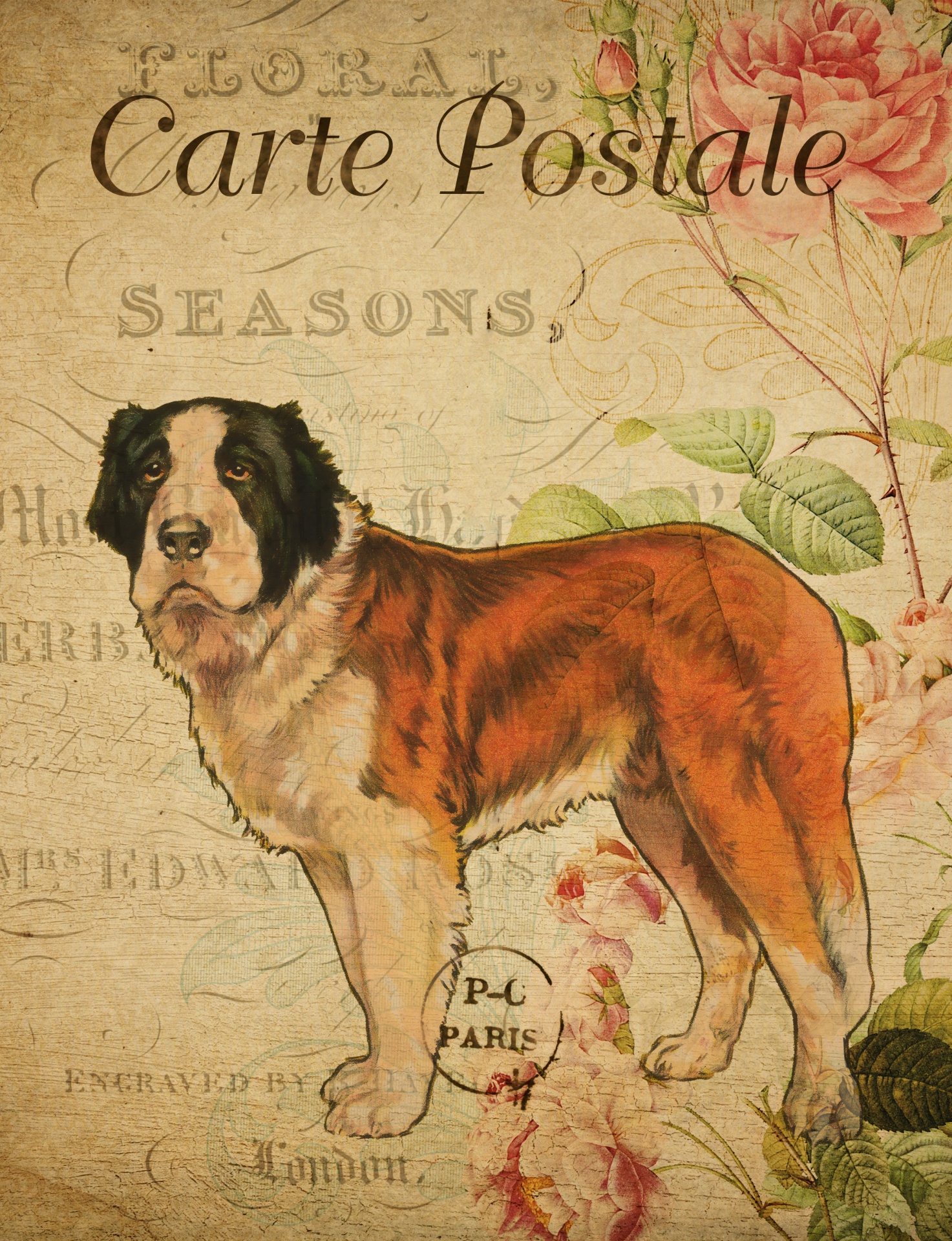 Vintage illustration of a saint bernard dog clipart isolated on french floral postcard