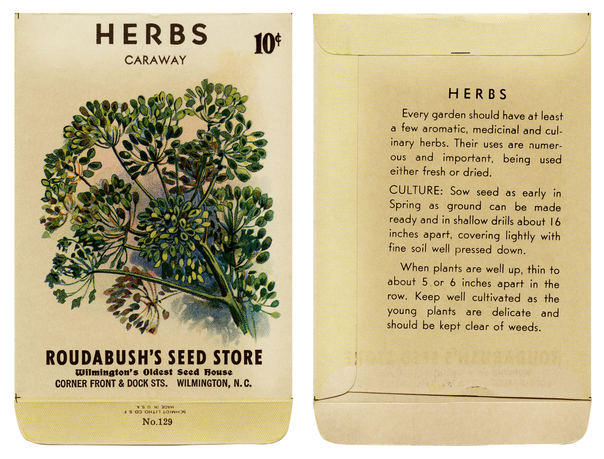 Seed Packet Vintage Caraway