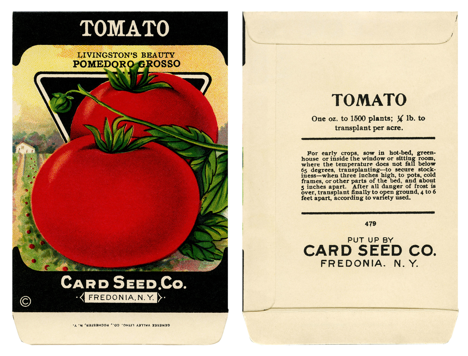 Seed Packet Vintage Tomato