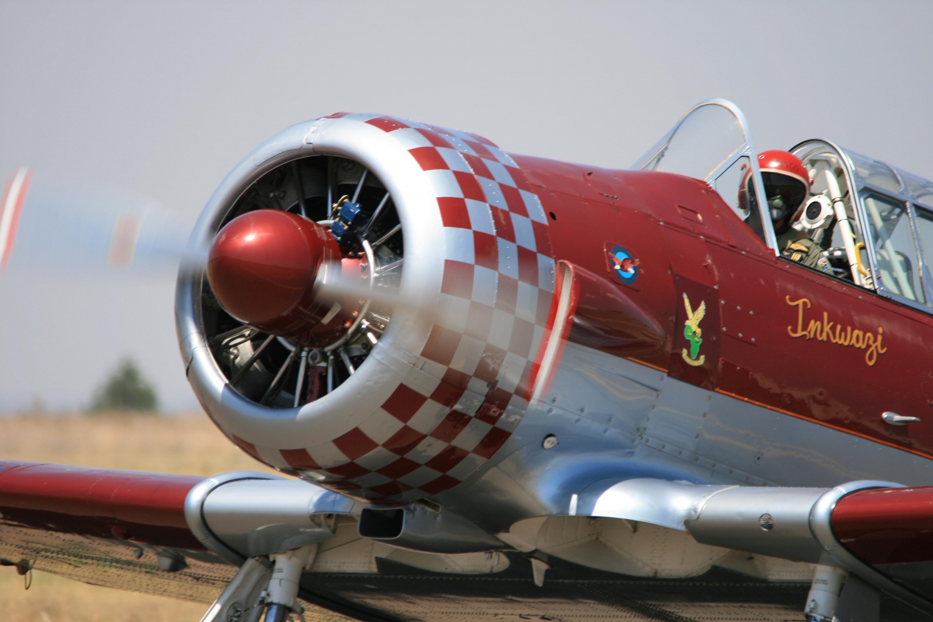 Texan T-6 With Propellor Spinning