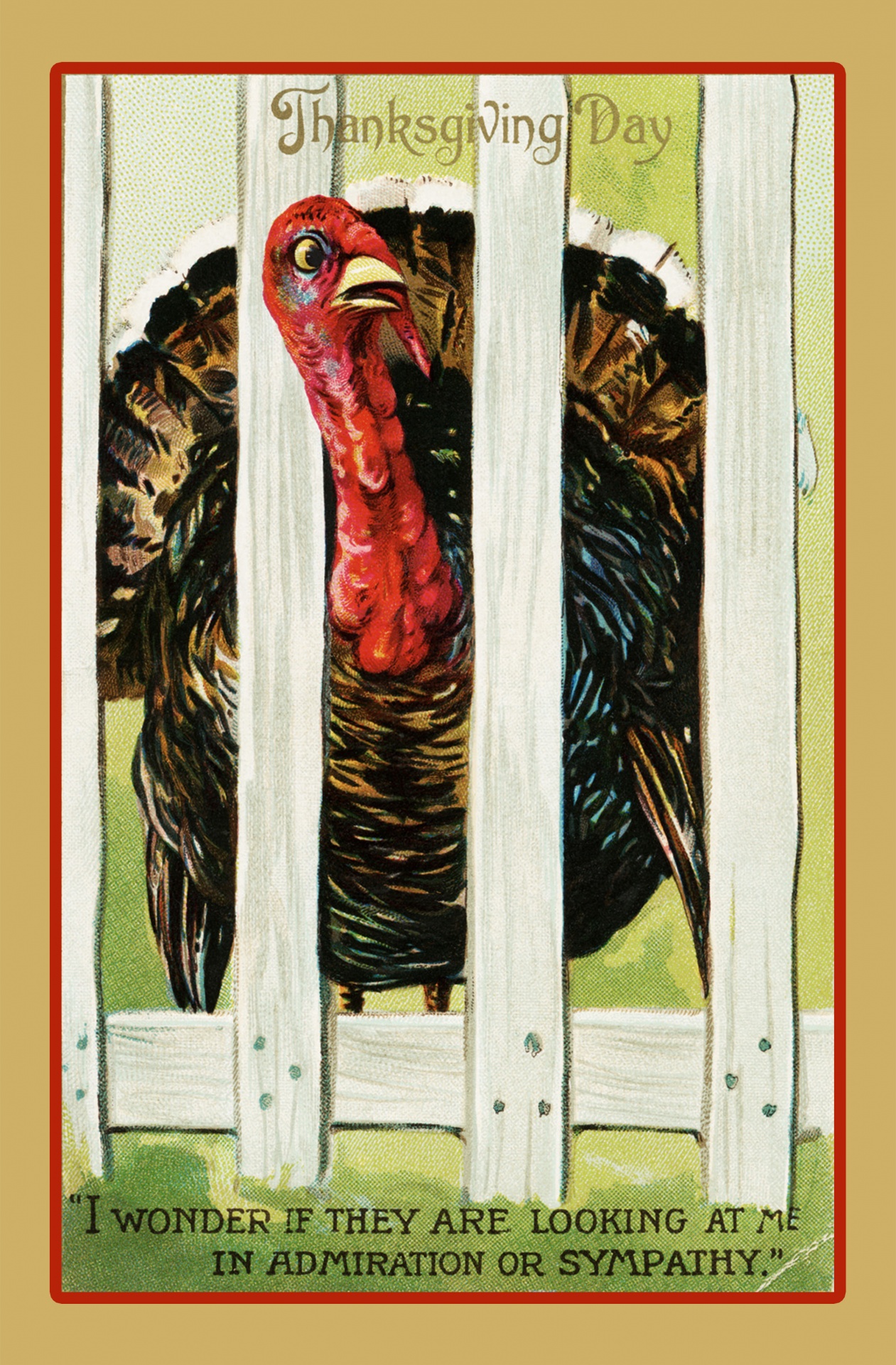 Vintage thanksgiving day card with turkey fun, humor