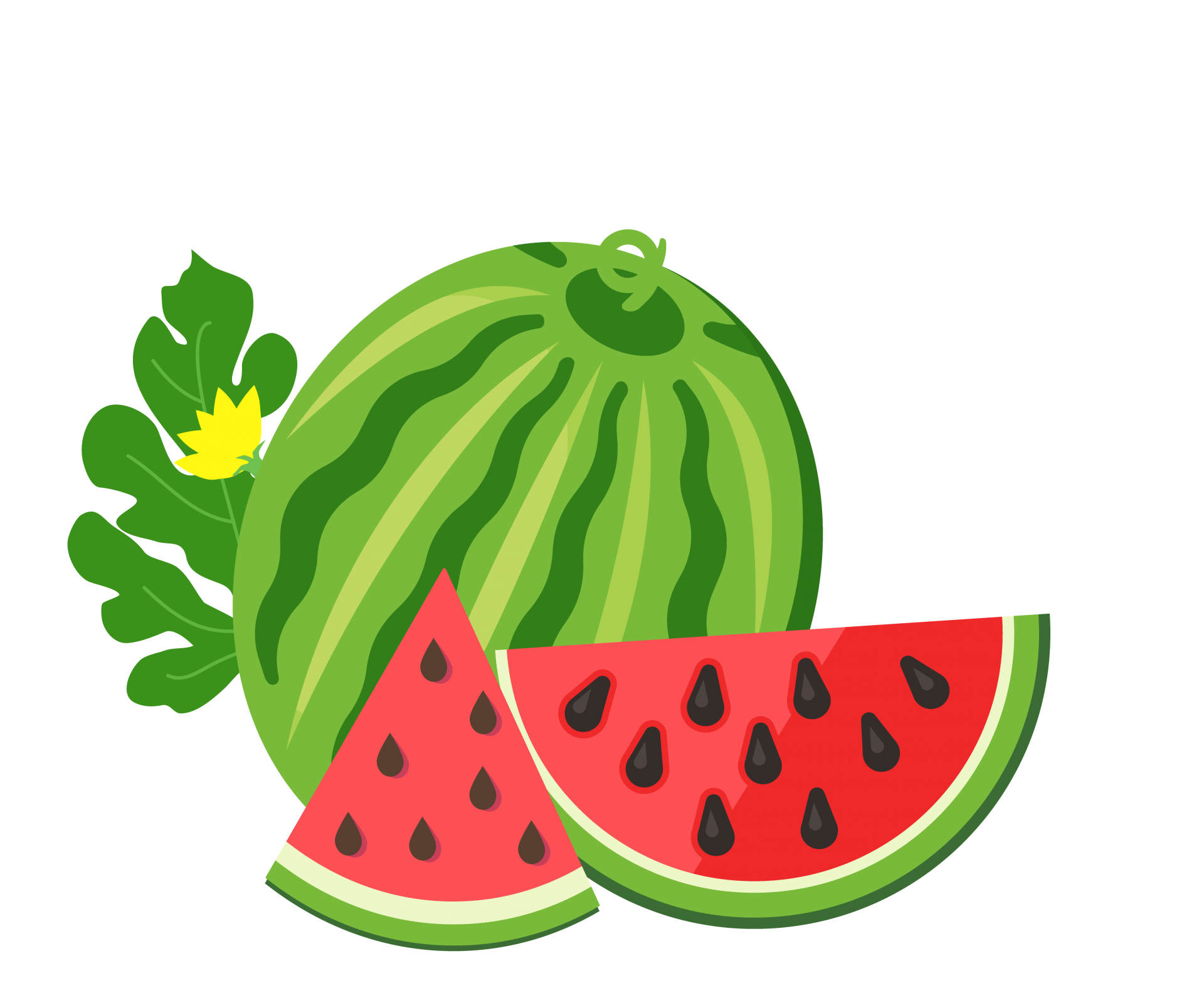Watermelon Fruit Illustration Art