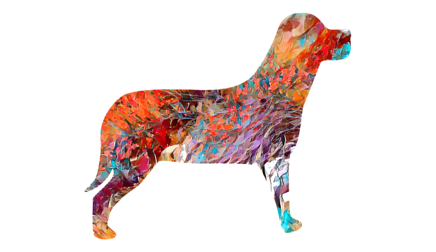 Otoño color silueta perro PNG Stock de Foto gratis - Public Domain Pictures