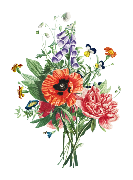 Vintage Floral Art Clipart Free Stock Photo - Public Domain Pictures