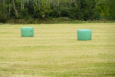 Straw Bales In A Field