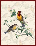 Bird Vintage Background Art