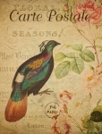 Bird Vintage Floral Postcard