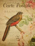Bird Vintage Floral Postcard