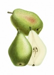 Pear Fruit Vintage Illustration
