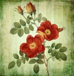 Flower Retro Vintage Rose