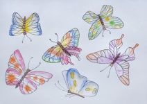 Butterfly, Flutter, Butterflies