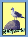 California Travel Poster Seagull