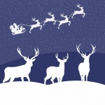 Christmas Santa Reindeer Card