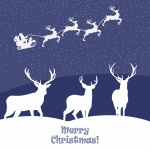 Christmas Santa Reindeer Card