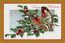 Christmas Vintage Robin Card