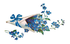 Forget-me-not Flowers Old Clipart