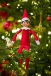 Elf On A Christmas Tree