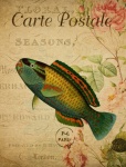 Fish Vintage Floral Postcard