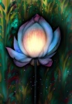 Flower, Drawing, Lily, Lotus, Bud
