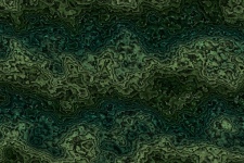 Green Grass Abstract Background