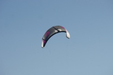 Grey Purple Water Kite