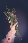 Hand, Flowers, Botany