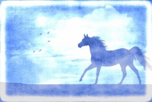 Horse Blue Distressed Background