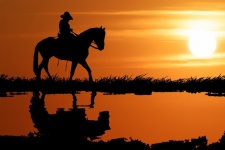 Horse Rider Sunset Silhouette