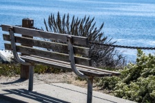 Bench By The Sea
