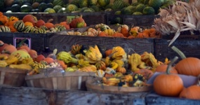 Gourds For Sale