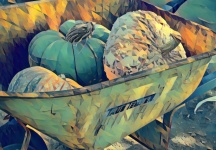 Wheelbarrow Full Of Pumpkins