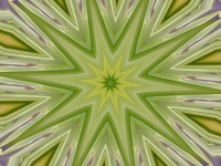 GREEN ABSTRACT Palm Tree