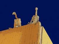 Vulture Skeletons
