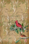Vintage Cardinal Bird Poster