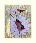 Moth Butterfly Vintage Art