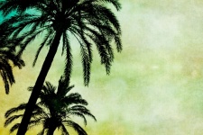 Palm Tree Silhouette Art