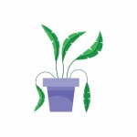 Potted Leafy Plant Clipart