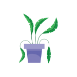 Potted Leafy Plant Clipart