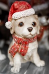 Puppy In Santa Hat