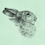 Rabbit Vintage Art Illustration