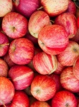 Red Apples Background