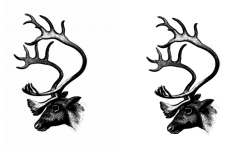 Reindeer Deer Illustration Clipart