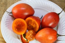 Ripe Red Tree Tomato Fruit & Plate