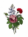 Rose Bouquet Vintage Art