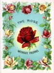 Rose Vintage Art Old