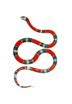 Snake Vintage Clipart Art