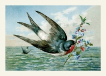 Swallow Flowers Vintage Postcard