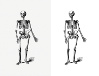 Skeleton Bones Halloween Clipart