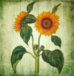 Sunflowers Retro Vintage Art